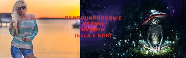 круглые Бронницы